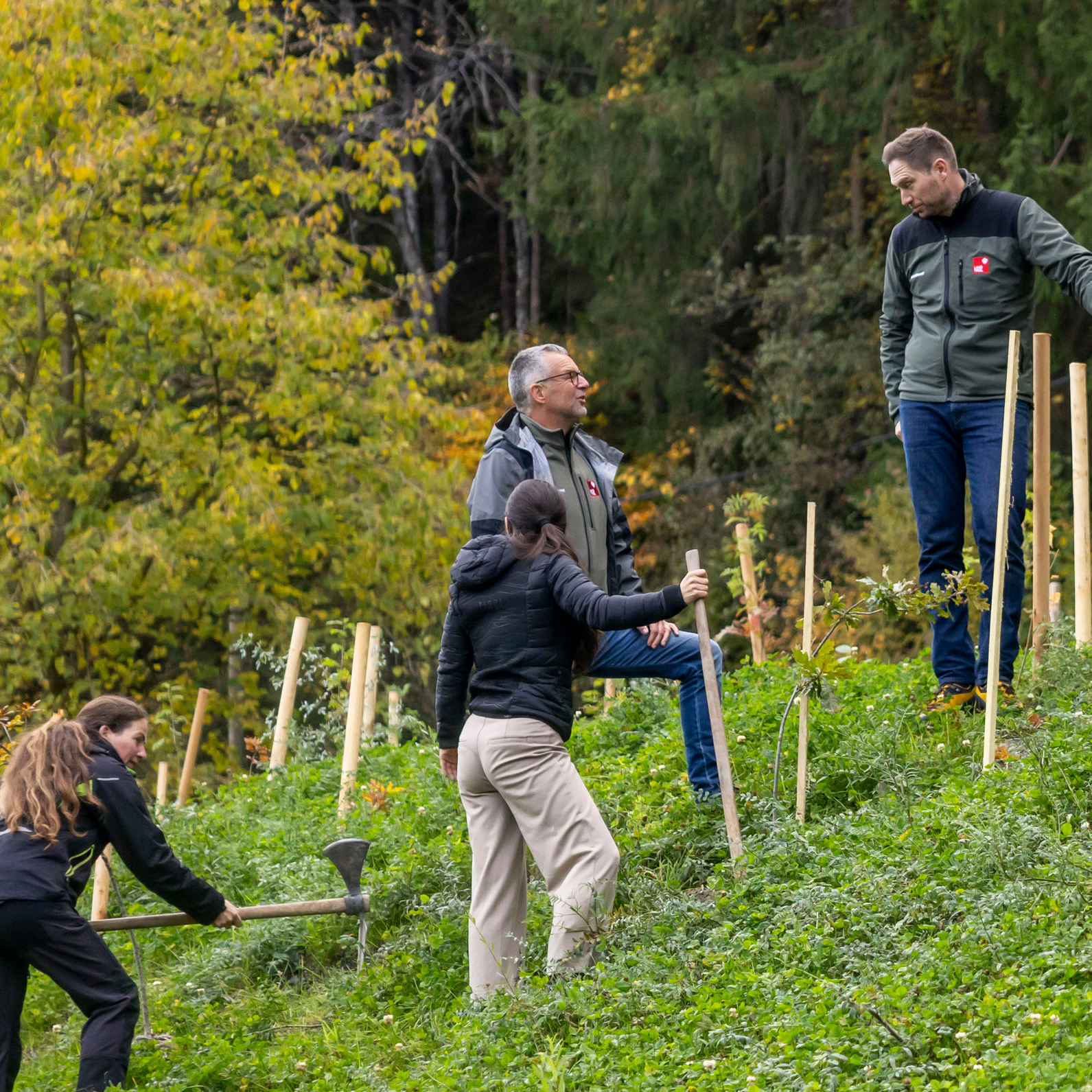 Waldaufseher sind das A und O für klimafitte Wälder