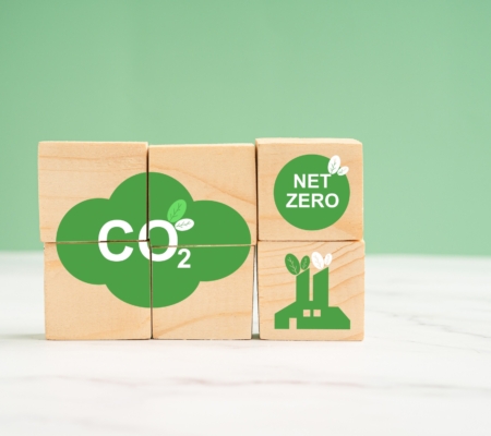 Holzwürfel übereinander gestapelt, sie ergeben das Bild einer grünen Wolke mit der Beschriftung CO2, eine Fabrik aus der Pflanzen wachsen und eine Net Zero Beschriftung