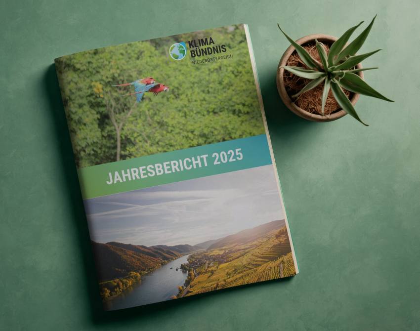 Jahresbericht Klimabündnisösterreich 2025 und kleine Topfpflanze