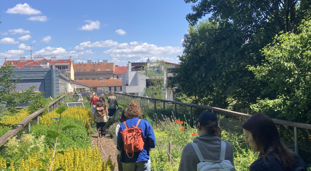 eine Gruppe spaziert durch Beete