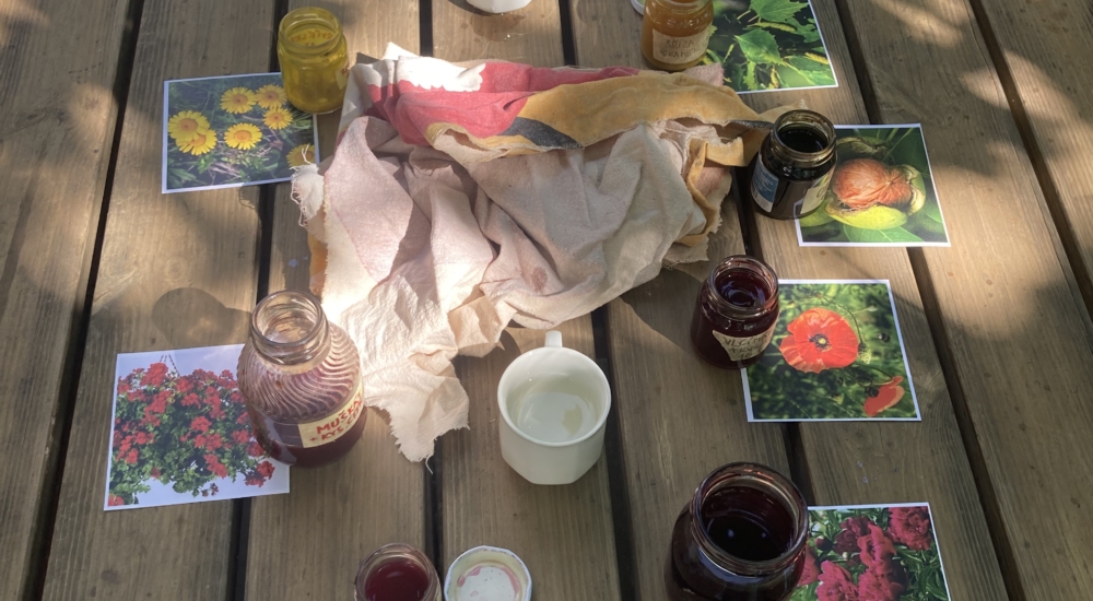 Farbstoff aus verschiedenen Pflanzen zum Malen